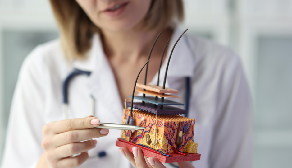 Struggling with Hair Loss? Should You See a Dermatologist or a Trichologist for Help?